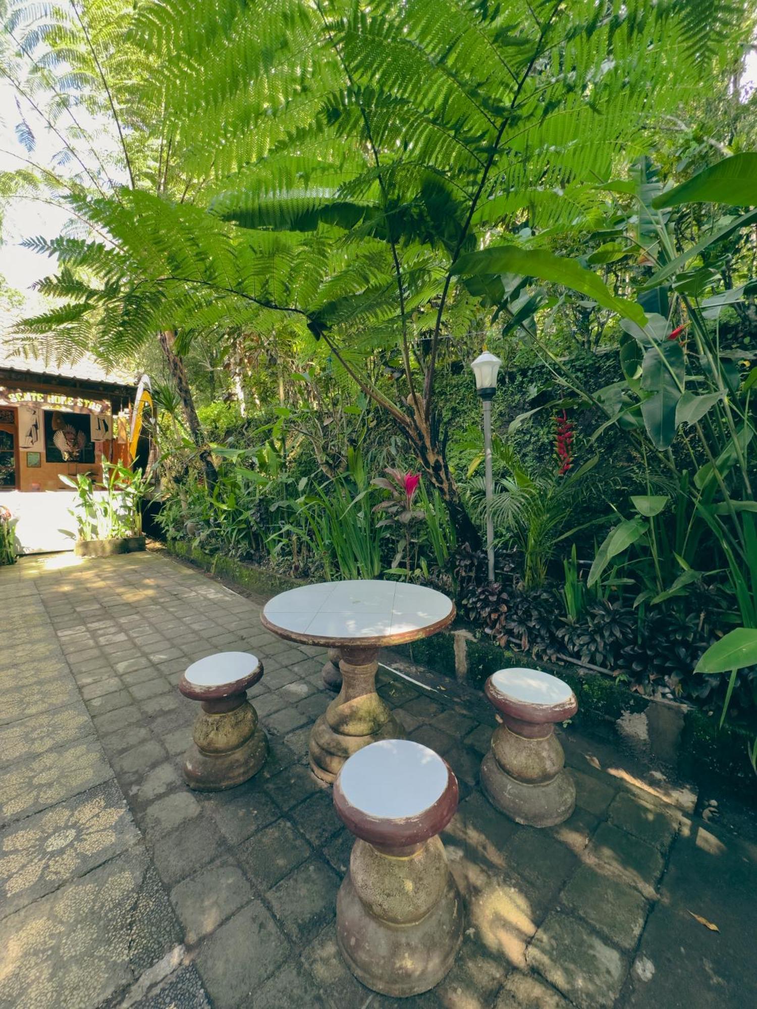 Homestay Sente Мундук Екстер'єр фото